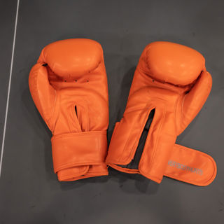 Rising Phoenix Fight Academy