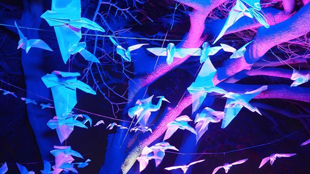 The Thamesmead light festival featuring stunning light installations along a walking trail starting at the Lakeside Centre, running along Bazalgette Way and parts of the Ridgeway, and finishing at Crossway Park.