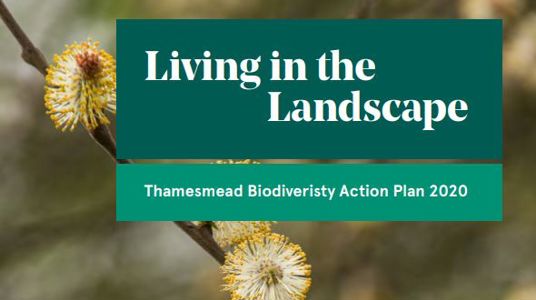 Living In The Landscape Biodiversity Action Plan